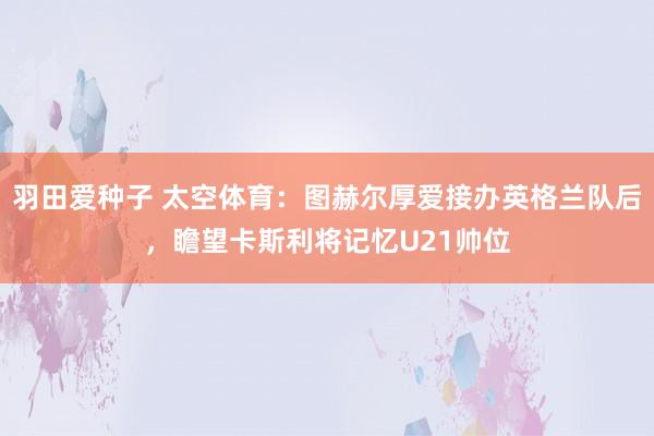 羽田爱种子 太空体育：图赫尔厚爱接办英格兰队后，瞻望卡斯利将记忆U21帅位