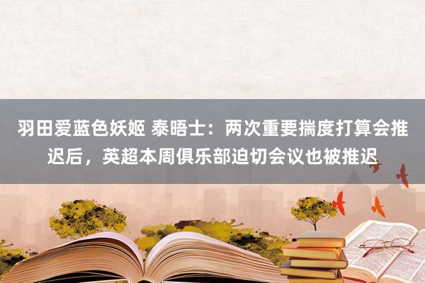 羽田爱蓝色妖姬 泰晤士：两次重要揣度打算会推迟后，英超本周俱乐部迫切会议也被推迟