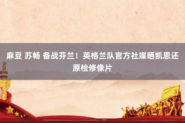 麻豆 苏畅 备战芬兰！英格兰队官方社媒晒凯恩还原检修像片