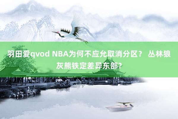 羽田爱qvod NBA为何不应允取消分区？ 丛林狼灰熊铁定差异东部？
