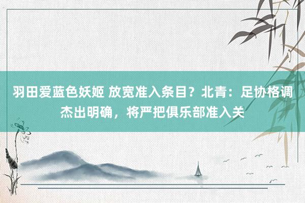 羽田爱蓝色妖姬 放宽准入条目？北青：足协格调杰出明确，将严把俱乐部准入关