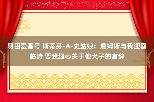 羽田爱番号 斯蒂芬-A-史姑娘：詹姆斯与我迎面临峙 要我细心关于他犬子的言辞
