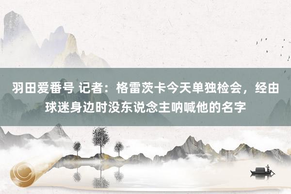羽田爱番号 记者：格雷茨卡今天单独检会，经由球迷身边时没东说念主呐喊他的名字